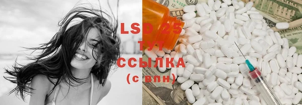 ГАЛЛЮЦИНОГЕННЫЕ ГРИБЫ Алексеевка