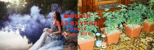 ПСИЛОЦИБИНОВЫЕ ГРИБЫ Осташков