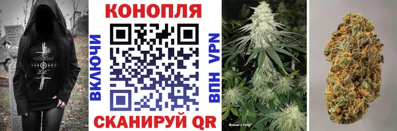 дарнет шоп Новоузенск Каннабис сатива